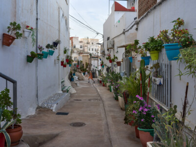 Street with flower pots