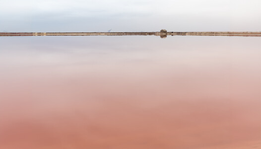 Pink salt flats. 2019 Namibia
Pink salt flats. 2019 Namibia