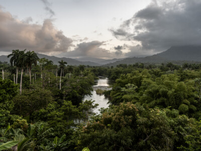 River and jungle. 2022 Cuba